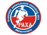 Логотип Магнитогорская Федерация любительской хоккейной лиги